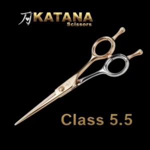 Class
